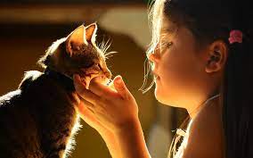 La Relation Du Chat Avec Un Enfant | Bulle Bleue