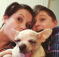 A SPECIAL DOG FINDS HER PLACE A HAPPY TAIL FROM A FOREVER HOME