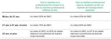 Le Contrat De Professionnalisation Constructys