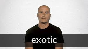 They also show her that you're interested in her. Exotic Definition And Meaning Collins English Dictionary