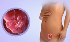 Building the foundation of your baby's eating habits is a major responsibility, and as nutrition research always. Your Baby S Progress Week 10 Kidspot
