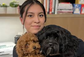 Dog Walking/Running & Pickup/Drop off