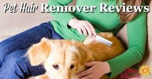 How to remove cat and dog hair from clothes. Tips For Removing Pet Hair From Clothes Laundry