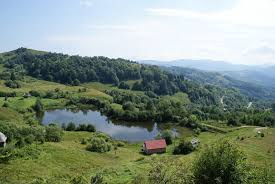 Lacul taul mare.acest lac este in forma de inima si este cel mai adanc lac din comuna. Taul Cornei Rosia Montana Mapio Net