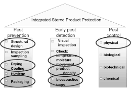 Advantages and disadvantages of computers. Https Ojs Openagrar De Index Php Jka Article View 641 1564
