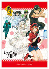Las nochebuenas están floreciendo by sheepguts for shinyarmin. ã¯ãŸã‚‰ãç´°èƒž æ—¥æœ¬èµ¤åå­—ç¤¾ è¡€æ¶²ã‚»ãƒ³ã‚¿ãƒ¼ã‚³ãƒ©ãƒœå¿œæ´ãƒ•ã‚§ã‚¢ãŒã‚¢ãƒ‹ãƒ¡ã‚¤ãƒˆã«ã¦é–‹å‚¬ ã‚¢ãƒ‹ãƒ¡ã‚¤ãƒˆã‚¿ã‚¤ãƒ ã‚º