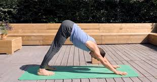 Positioning the head below the heart flips the if you're new to yoga, even holding downward dog for a few seconds can cause the muscles in your upper half to tremble. Downward Facing Dog Alignment Are You Doing It Wrong Tint Yoga