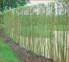 Garden Design 27 Top Screen Privacy Willow With Frame O78p Garden Design Garden Frame