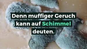 Meistens liegt die ursache jedoch darin begründet, dass die wäsche bei einer zu niedrigen temperatur gewaschen wurde. 4 Ursachen Fur Muffigen Geruch Im Keller Und Was Sie Tun Konnen
