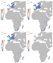 Image result for Erica kingaensis