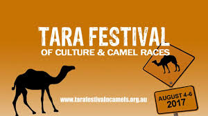 They could go weeks without water it is common knowledge that the arab peoples like a wager on races and what better way than to use. Tara Festival Of Culture Camel Races Western Downs Queensland