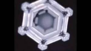 March 28, 2015april 19, 2015peter fritz walter1 comment on the hidden messages in water. The Hidden Messages Of Water By Dr Masaru Emoto