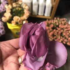 I needed wholesale flowers for an event i was planning in philadelphia. Fmi Farms Flower Wholesale Updated Covid 19 Hours Services 45 Photos Florists 9607 Nw 33 Rd St Doral Fl Phone Number Yelp