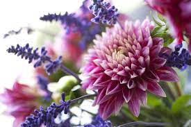 Looking for the best flowers, hand delivered and same day delivery. Fresh Cut Flower Tips How To Make Fresh Flowers Last