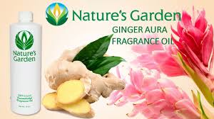 Ginger Aura Fragrance Oil Natures Garden Fragrance Oil Nature Garden Fragrance