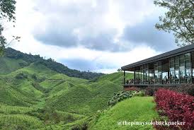 Check spelling or type a new query. Cameron Highlands Travel Guide Blog 2019 Budget Itinerary The Pinay Solo Backpacker Blog