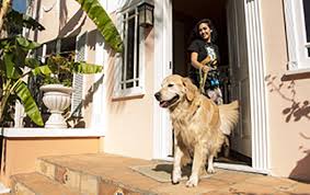 Having a dog in an apartment can get tricky if you don't take the time to set it up the right way. Wag And Greystar Bring On Demand Dog Walking And Sitting To Six Los Angeles Apartment Communities Yield Pro
