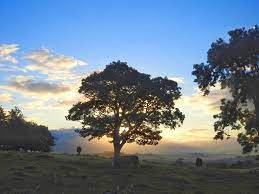 You can also download hd background in png or jpg, we provide optional download button which you can. Some Beautiful Summer Solstice Bbc Scotland News Facebook