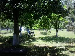 Contact direct cu proprietarul si rezervare fara comision. Pensiunea Casa Dintre Pini Agapia Agapia VÄƒratec Nt Impresii PÄƒreri RecomandÄƒri Pensiunea Casa Dintre Pini Agapia Amfostacolo Amfostacolo