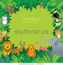 Najdete Stock Snimky Na Tema Wild Animals Jungle Frame Kids Cute V Hd A Miliony Dalsich Stock Fotografii Ilustraci A Vektoru Bez Autorskych Poplatku Ve Sbirce 2020