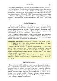 Image result for Courtoisina cyperoides