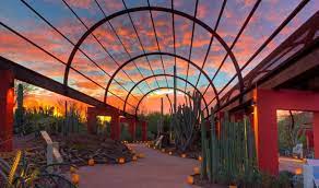 Desert Botanical Garden In Phoenix Arizona Arizona Travel Arizona Vacation Arizona Adventure