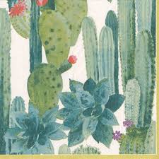 Caspari Culiko Desert Cactus Printed 3 Ply Paper Cocktail Napkins Wholesale 13230c Paper Cocktail Napkins Luncheon Napkins Cocktail Napkins