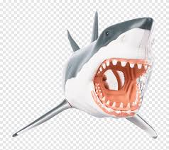 Great White Shark Chumming Cartilaginous Fishes Mackerel Sharks Bull Shark Cute Great White Sharks Anatomy Shark Attack Png Pngegg #kai #bull shark #shark #oc #art #illustration #drawing #digital #baitin draws.exe #shark oc #kai the bull shark #a huge thank you to jasker for posting that doodle of the thresher shark and axolotl!! great white shark chumming