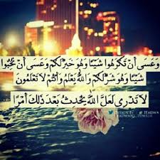 حلا شيخة البنات Oms3oud22 Twitter