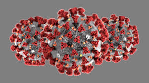 Sinovac started developing the inactivated vaccine against. Who Sinovac Vaccine Effective But Some Data Lacking Latest Updates