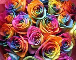 Find here the best coupons and promo codes and the latest weekly ads for gifts & crafts stores in conroe tx. Multi Colored Roses Rainbow Roses Rainbow Flowers Colorful Roses