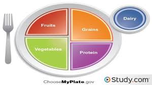 Join the movement to empower healthy eating habits for all! Healthy Diet Planning Guidelines Nutrients Food Groups Video Lesson Transcript Study Com