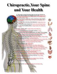 Chiropractic Nerve Chart Poster