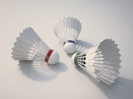 Badminton Balls 3d Model Badminton Ball Sports Balls