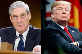 Image result for mueller investigation