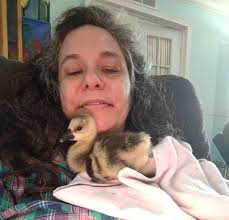 Big girls( 1 week older) were not happy I was snuggling the babies( babies  fell asleep)