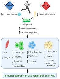 If you agree to our use of cookies, please continue to use our site. Jcm September 2020 Browse Articles