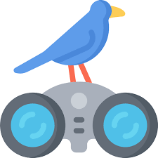 How to breed, race, win and make money with racing pigeons. Racing Pigeons Ultimate Guide Review And Recommendations