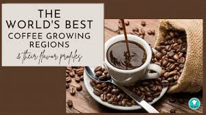 The World S Best Coffee Growing Regions Their Flavor Profiles Food For Net