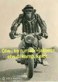 Foto Gambar Lucu Otw Di 2020 Gambar Lucu Lucu Humor Lucu