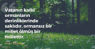 Doga Ile Ilgili Sozler Doga Ile Ilgili Guzel Sozler Sozumsoz Doga Guzel Soz Dogum Sozleri