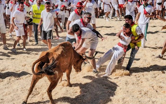 F&ecirc;tes de Bayonne 2025 : les courses de vaches en images