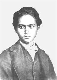 Wallace in the Field