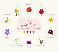 There is nothing better than biting into a ripe red apple, or squeezing a fresh meyer lemon. A Guide To Choosing Seasonal Blooms For Your Wedding Flowers