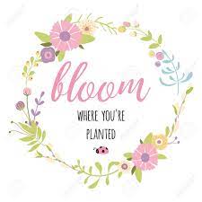 Life is like pictures in a photo album. Hand Written Lettering Bloom Where You Are Planted Stylish Royalty Free Cliparts Vectors And Stock Illustration Image 124573832