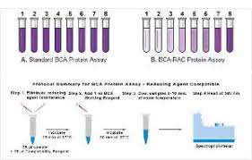 Bca Protein Assay Kits Reducing Agent Compatible Pierce Vwr