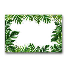 Tropical Frame Png