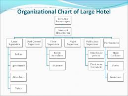 housekeeping department hierarchy in small medium large