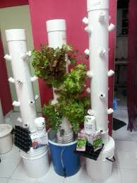 The tower farms turnkey vertical aeroponic farm comes with everything you need to get growing. Vertical Hydroponics Tower Home Facebook