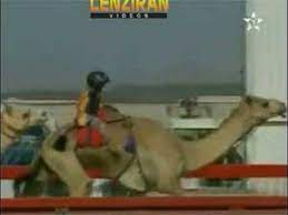 My paternal grandfather and his family adored rearing camels, whereas my maternal grandfather and his family enjoyed rearing horses. Child Slavery For Use In Camel Racing In United Arab Emirates Youtube